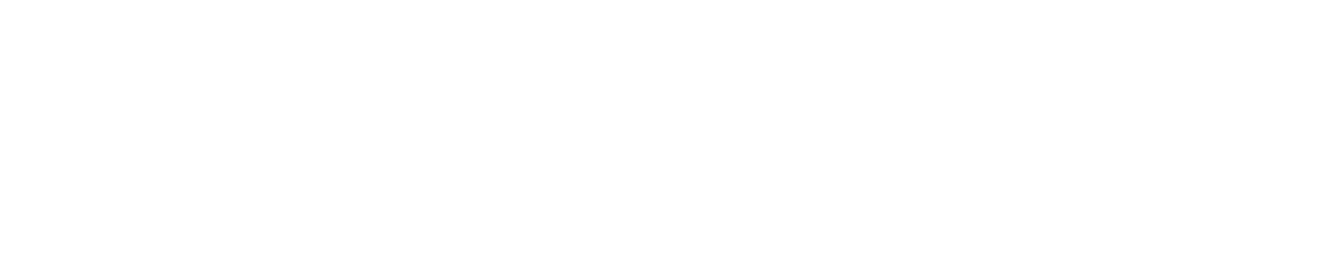 Mentalgids